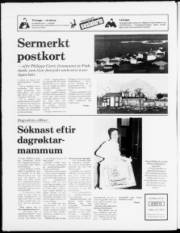 Síða 20