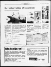 Síða 4