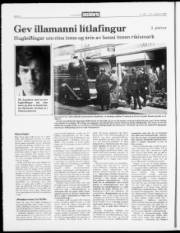 Síða 8