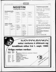 Síða 21