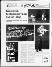 Síða 24
