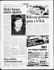 Síða 3
