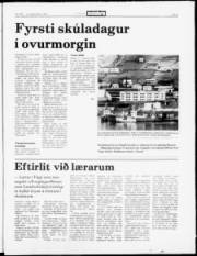 Síða 5