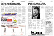 Síða 3