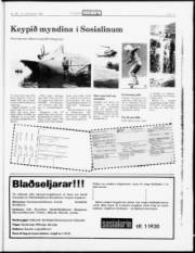 Síða 15