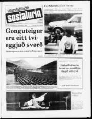 Síða 1
