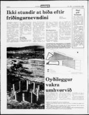 Síða 4