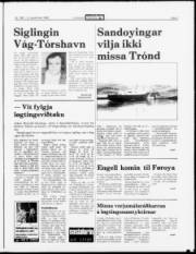 Síða 7