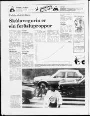 Síða 16