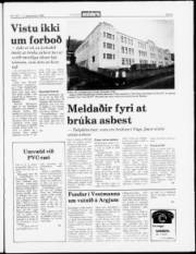Síða 5