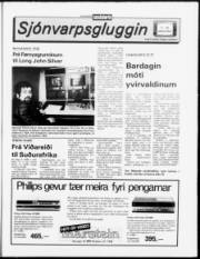 Síða 11