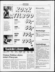 Síða 21