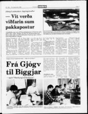 Síða 3