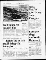 Síða 5