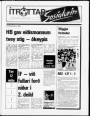 Síða 7