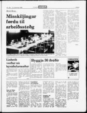 Síða 9