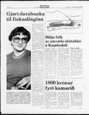 Síða 10