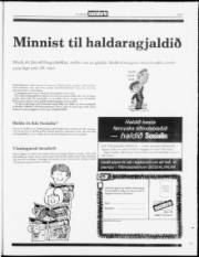 Síða 17