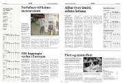 Síða 12