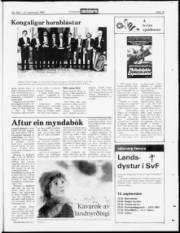 Síða 19