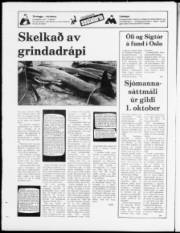Síða 20