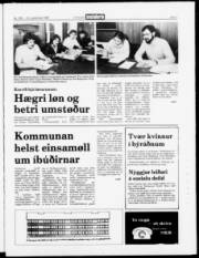 Síða 3