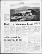 Síða 4