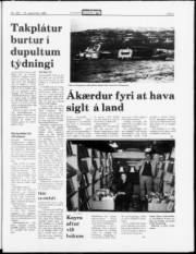 Síða 5