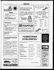 Síða 17