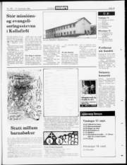 Síða 19