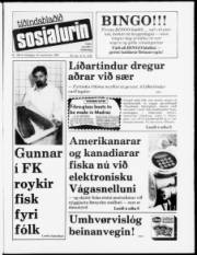 Síða 1