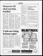Síða 3
