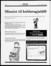 Síða 12