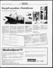 Síða 13