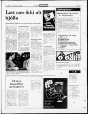 Síða 19