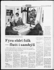 Síða 8