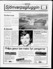 Síða 11