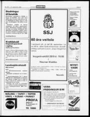 Síða 21