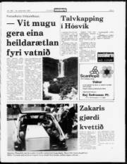 Síða 3