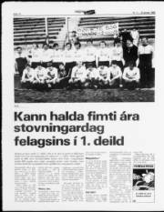 Síða 12