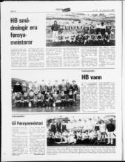 Síða 14