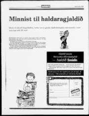 Síða 20