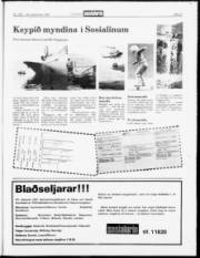Síða 21