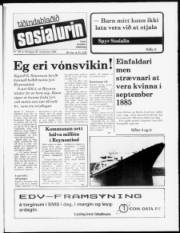 Síða 1