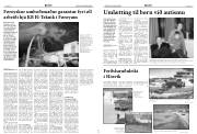 Síða 5