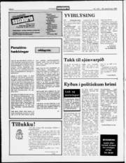 Síða 6