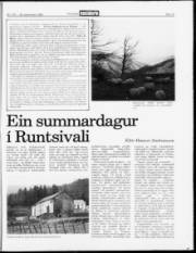 Síða 15