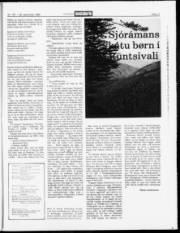 Síða 17