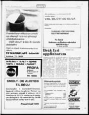Síða 21