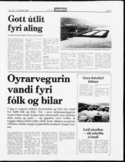 Síða 11